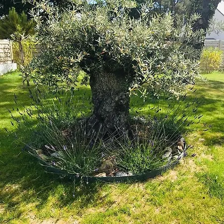 75m2 Avec Piscine Et Jacuzzi Prives, Sauna Et Home-cinema A 800m Des Commodites וילה *